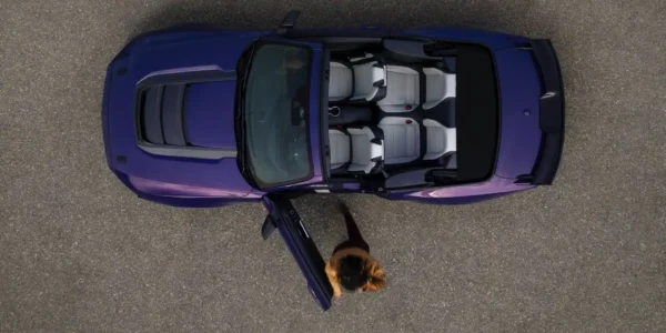 795 KM bez dachu. Dark Horse SC Cabrio to najmocniejszy otwarty Mustang w historii